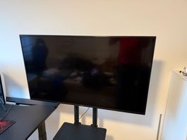 Sony Bravia Fernseher, 49", 4k UHD