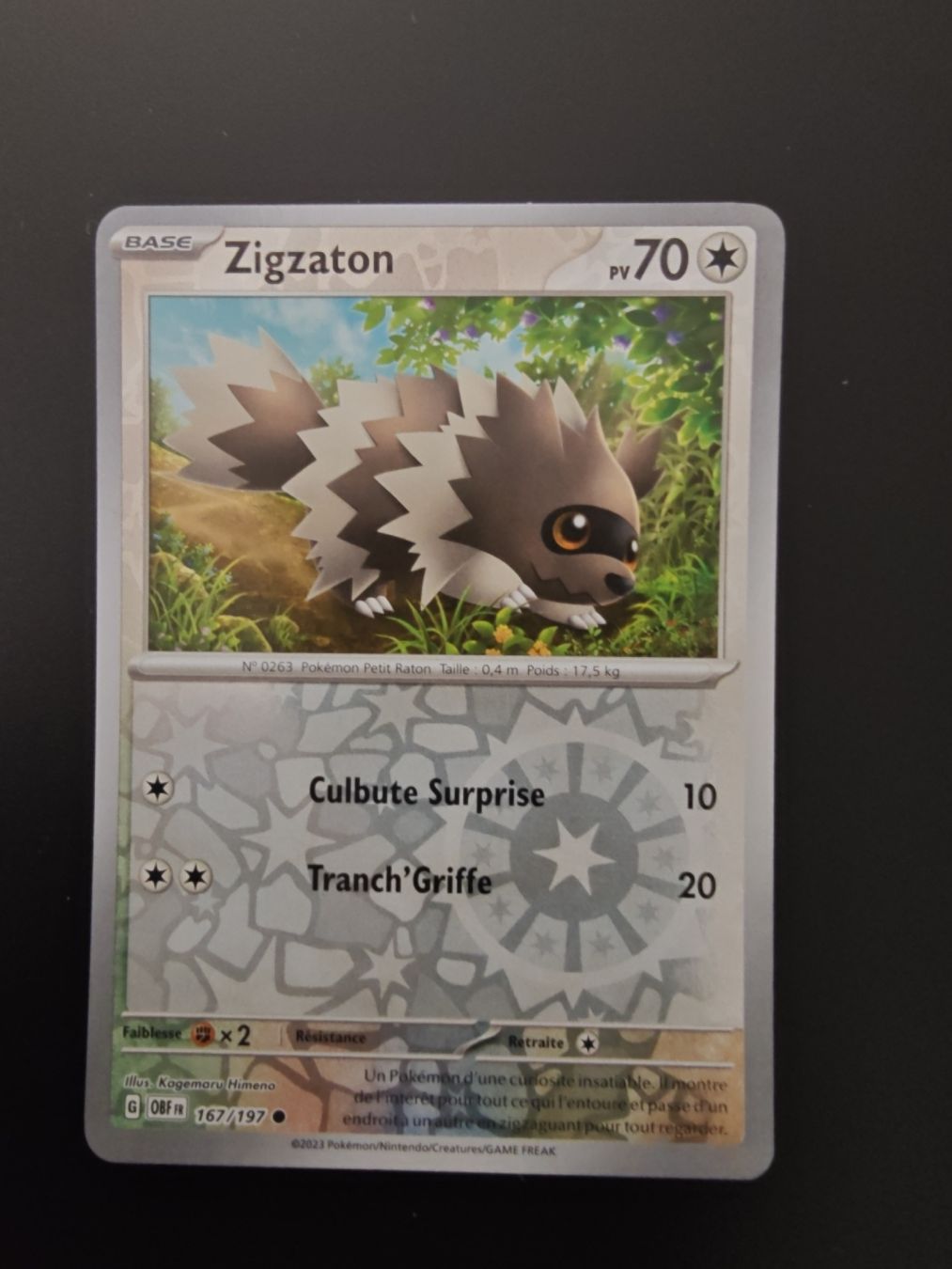 Pokémon Carte collezionabili: Zigzaton Reverse (167/197) Flammes obsidiennes - OBF fr – Usato da Cormondreche venduto da pajojo