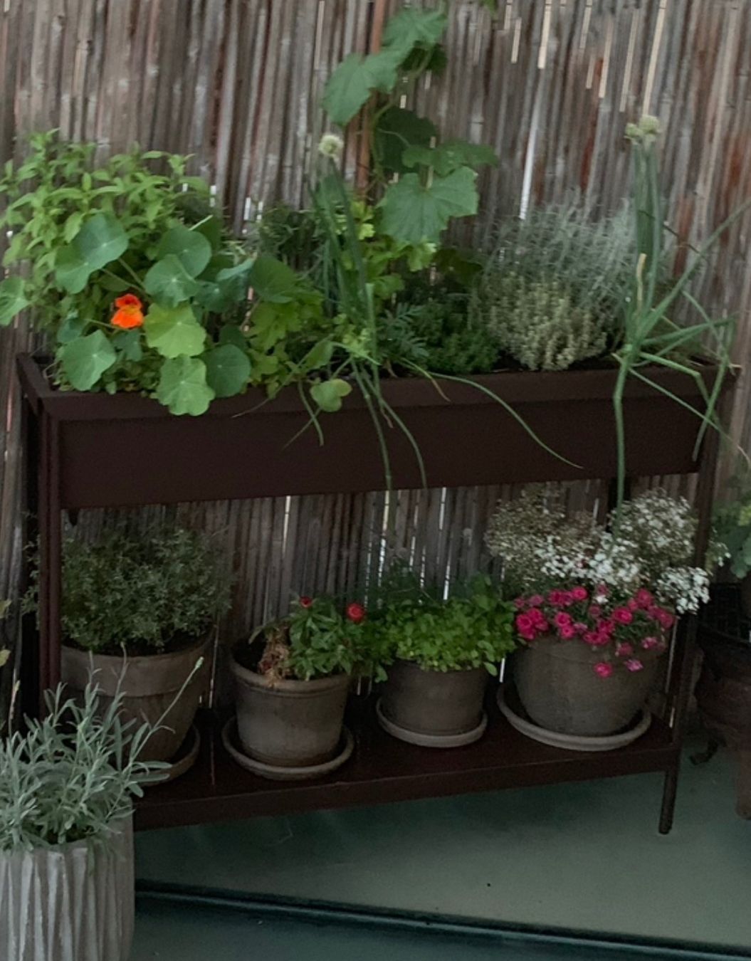 Fermob Vasi per fiori: Fermob Terrazza Blumenkasten – Usato da Niedergösgen venduto da sim_v2bq 2