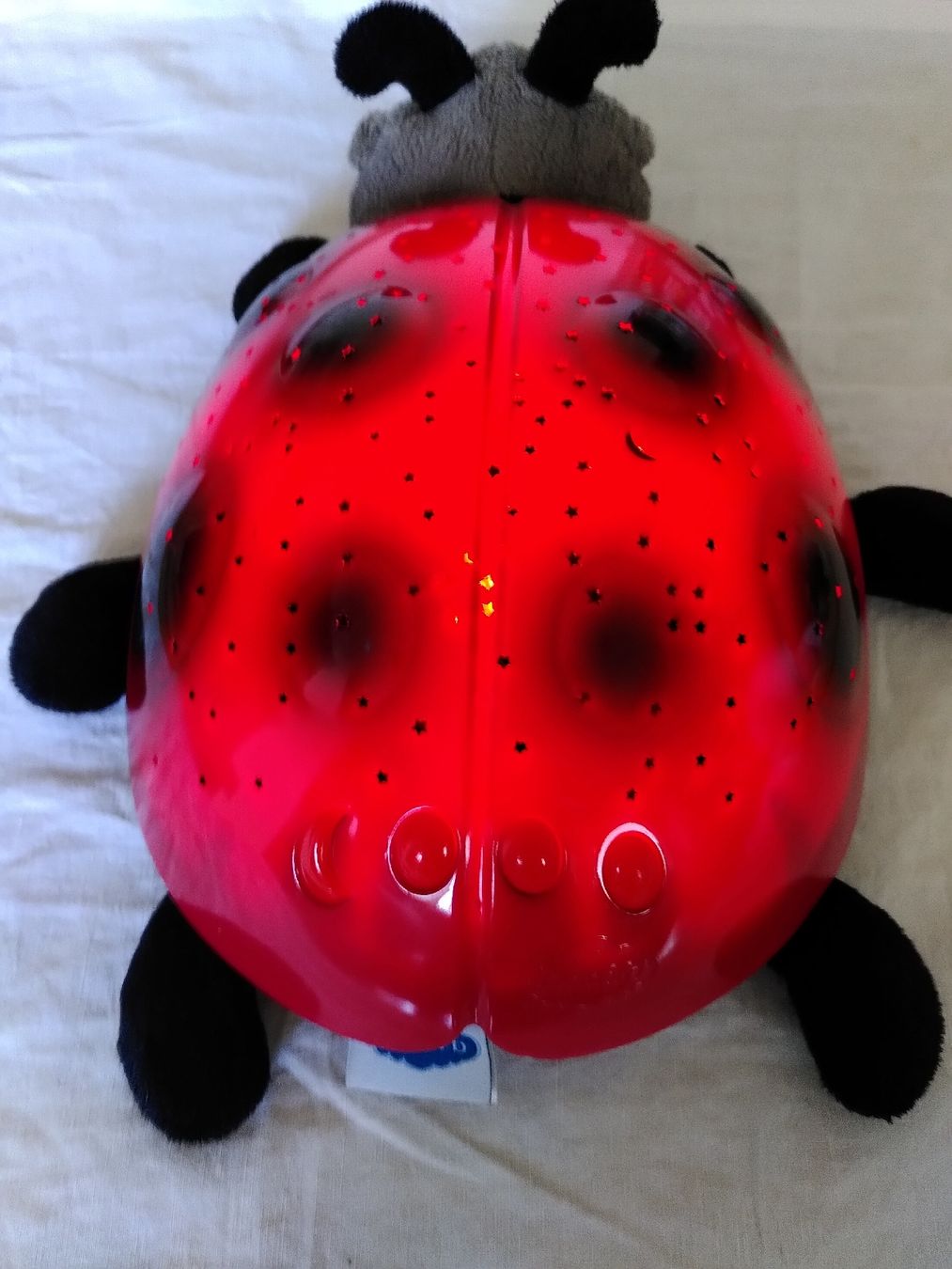 Lampade: Cloud B veilleuse coccinelle – Usato da Echallens venduto da Raphia87 2