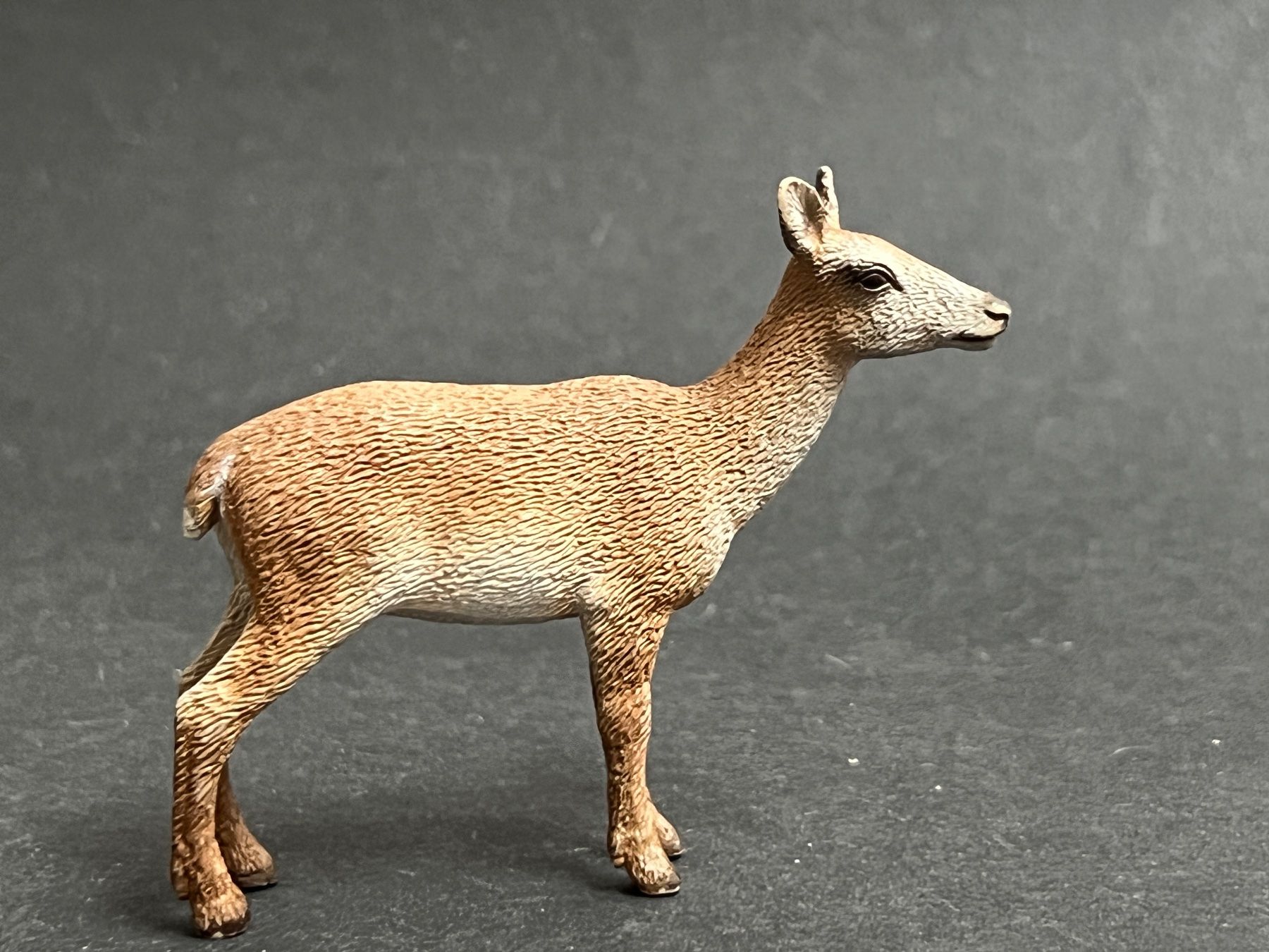 Schleich Statuette: Schleich Rothirsch Hirsch Kuh – Usato da Ennetbaden venduto da mapa05 5