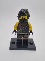LEGO Ninjago njo0575 Cole - Legacy, Rebooted, 'MANTER' Torso