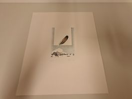 Original Litho signiert Fehlmann/ Sammlerauflösung