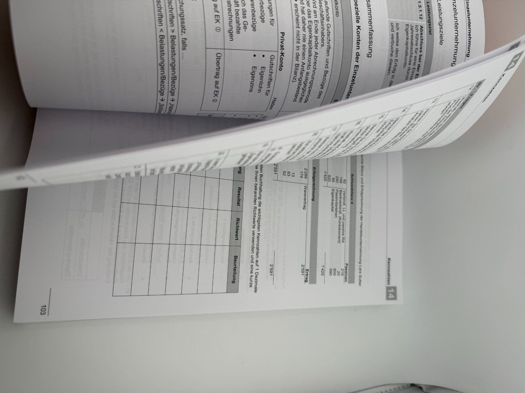 Libri: Repetitorium Wirtschaft und Gesellschaft E-Profil 2022/23 – Usato da Riehen venduto da edu_92w7 4