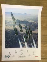 The Saudi Hawks 2007, Original Poster, Selten!