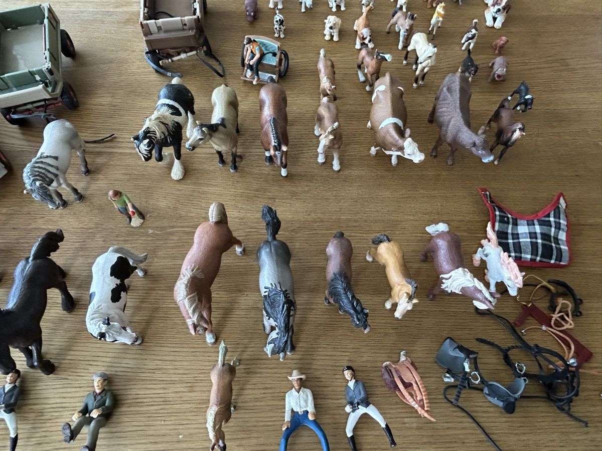 Schleich Figuren: Schleich Pferde Sammlung mit Zubehör – Gebraucht aus möhlin von Caja1 2