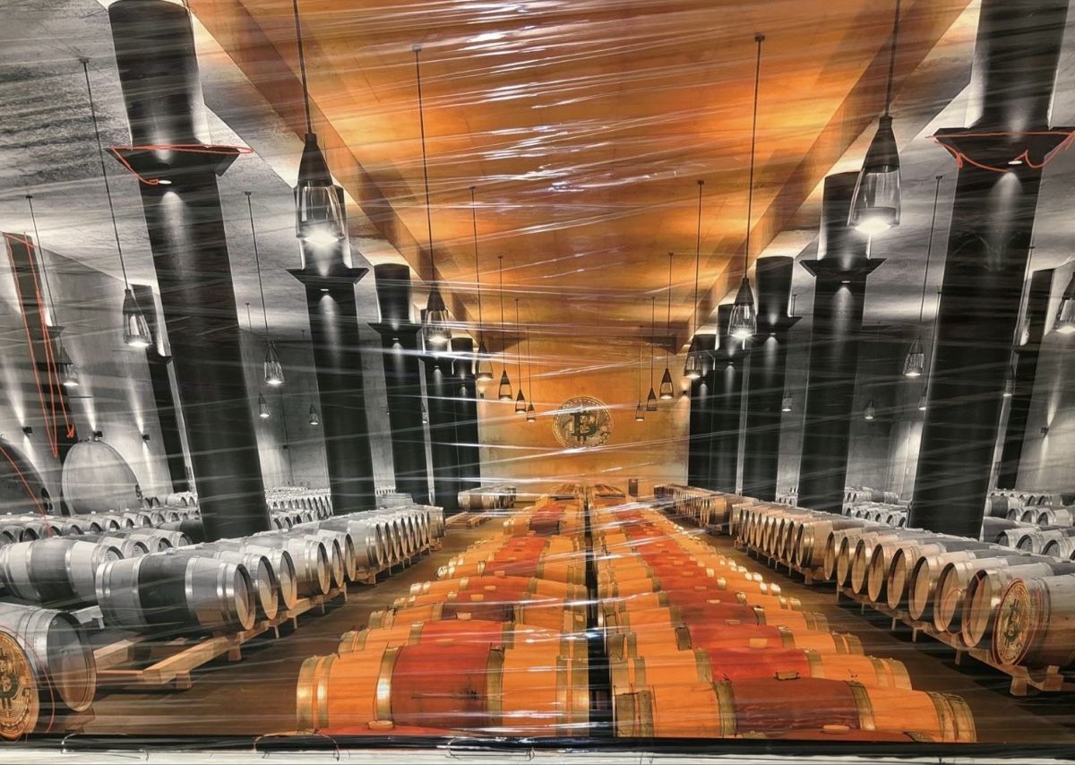 Foto & Immagini: BILD Leinwand 120 x260 cm Bitcoin – Usato da Zug venduto da Biki72 3
