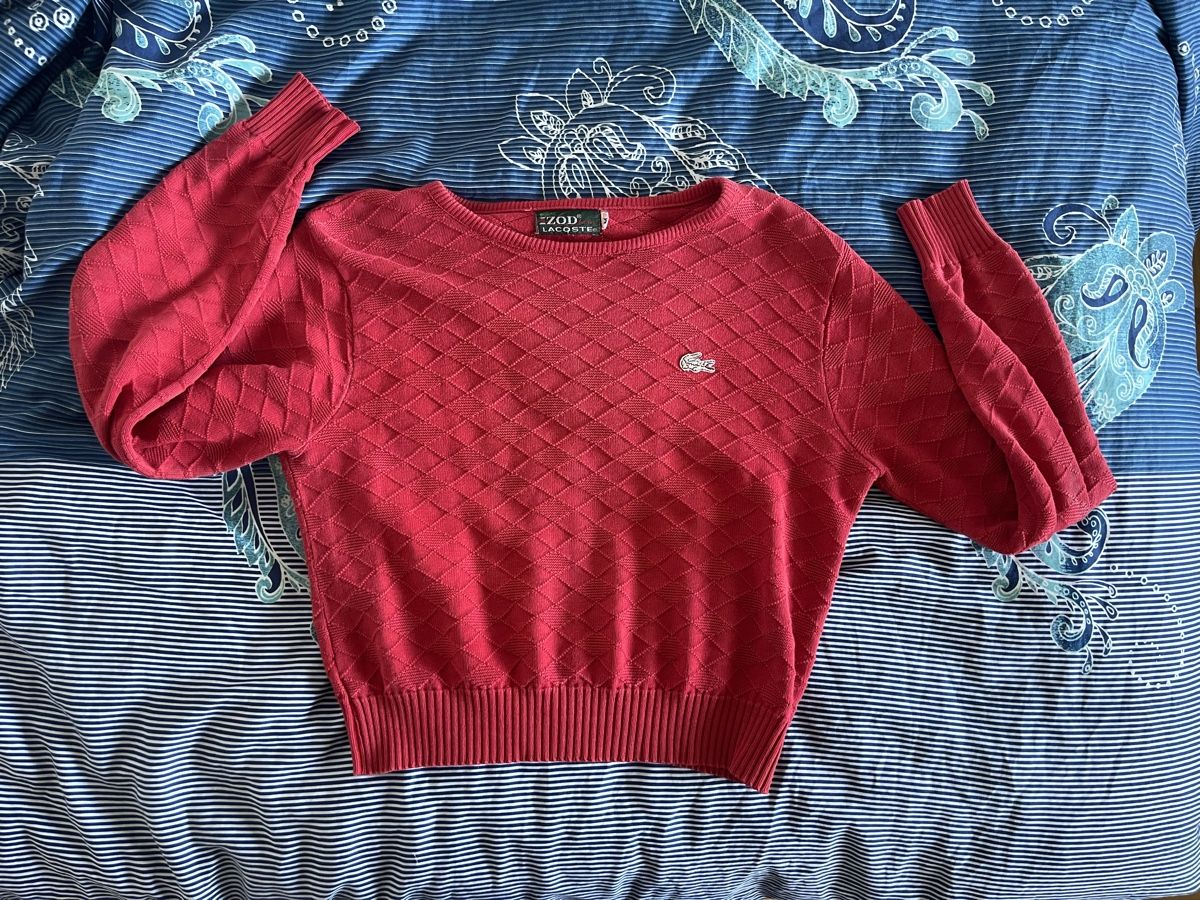 Lacoste Pulls & Sweat-shirts: lacoste pullover – D'occasion à Bern par fae_69vh