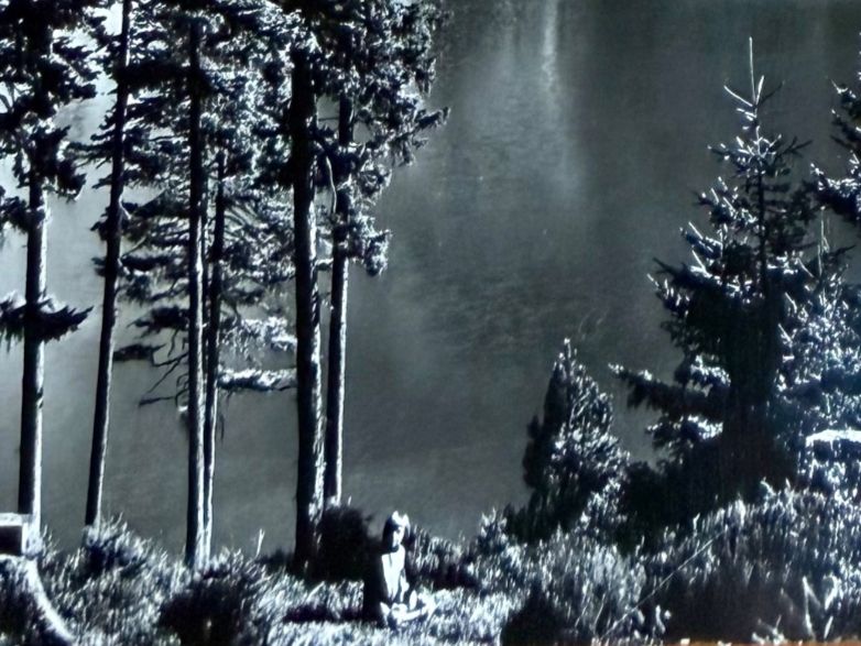 Cartoline postali: Oeschinensee 1960 – Usato da Lutry venduto da Ediego 1