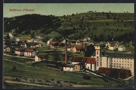 Kollbrunn /Tösstal, Totalansicht vor de