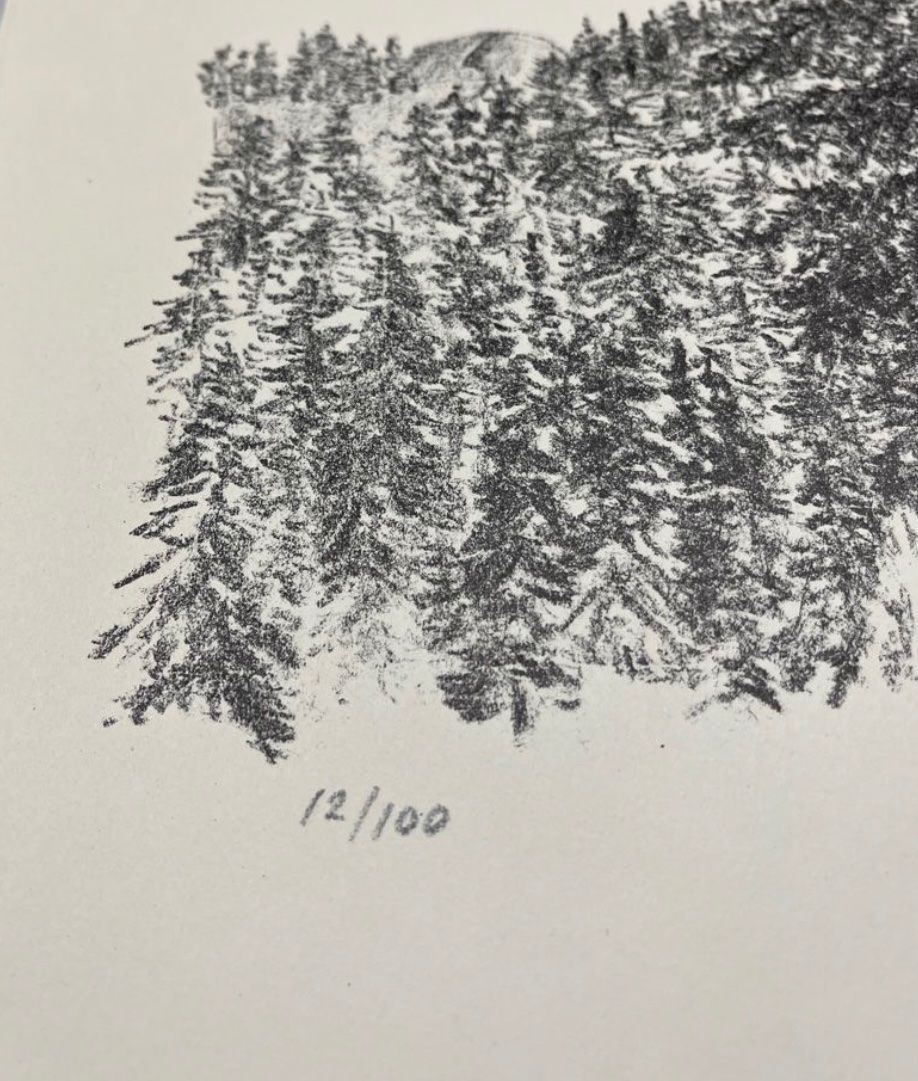 Grafica & Litografie: Paul Camenisch, handsigniert, nummeriert – Usato da Rain venduto da Pic-Ass 3