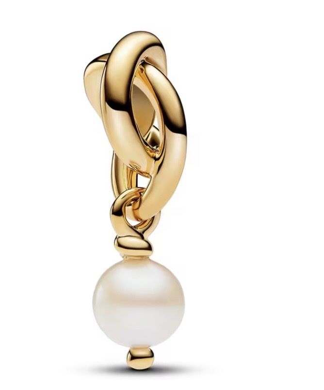 Pandora Pendentifs: Pandora Charm – Neuf (Voir description) à Rhäzüns par Spadinvirginia_ 1