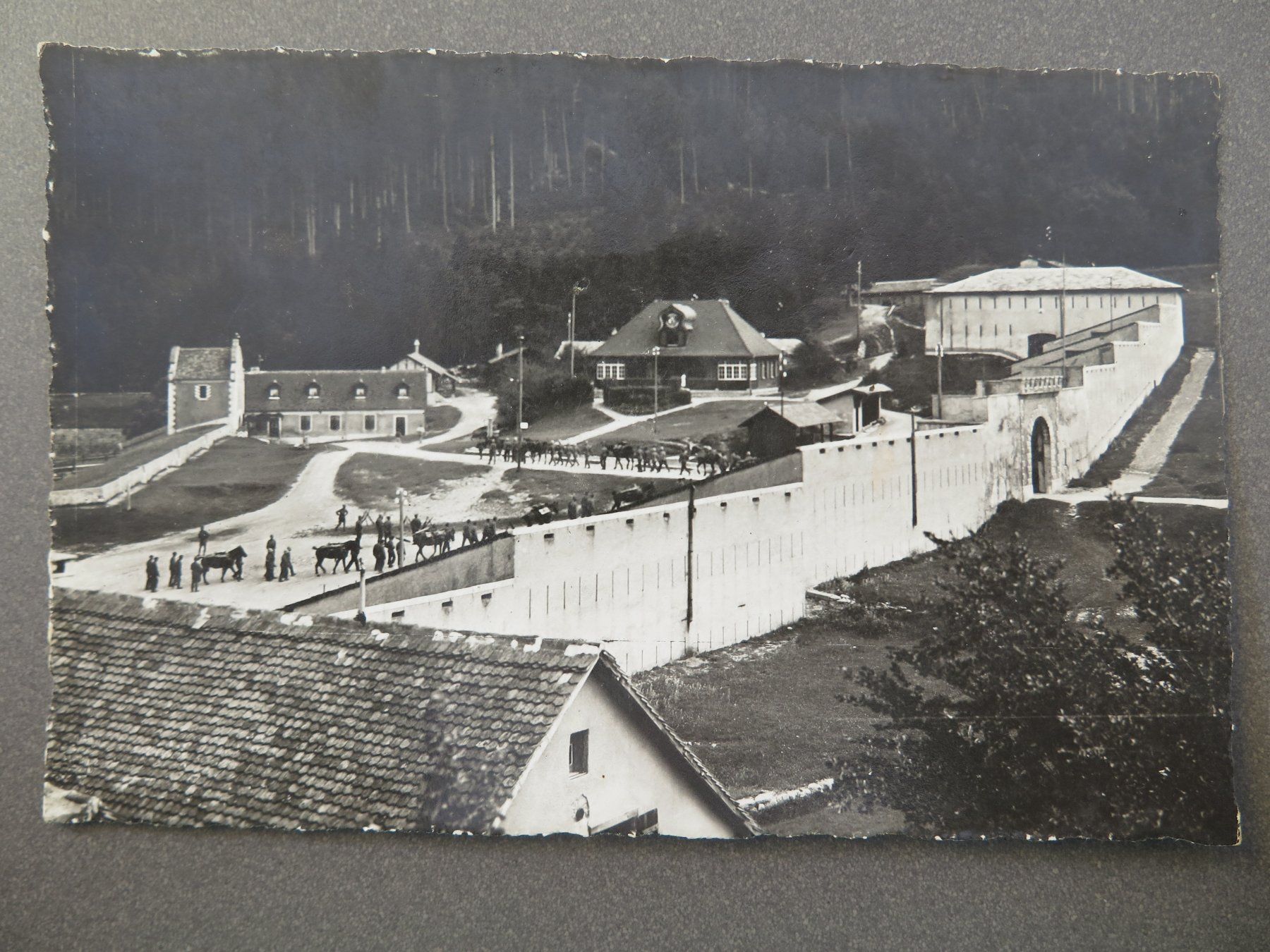 Cartoline postali: LUZIENSTEIG - FESTUNG LUZIENSTEIG – Usato da Wittenbach venduto da lipasal