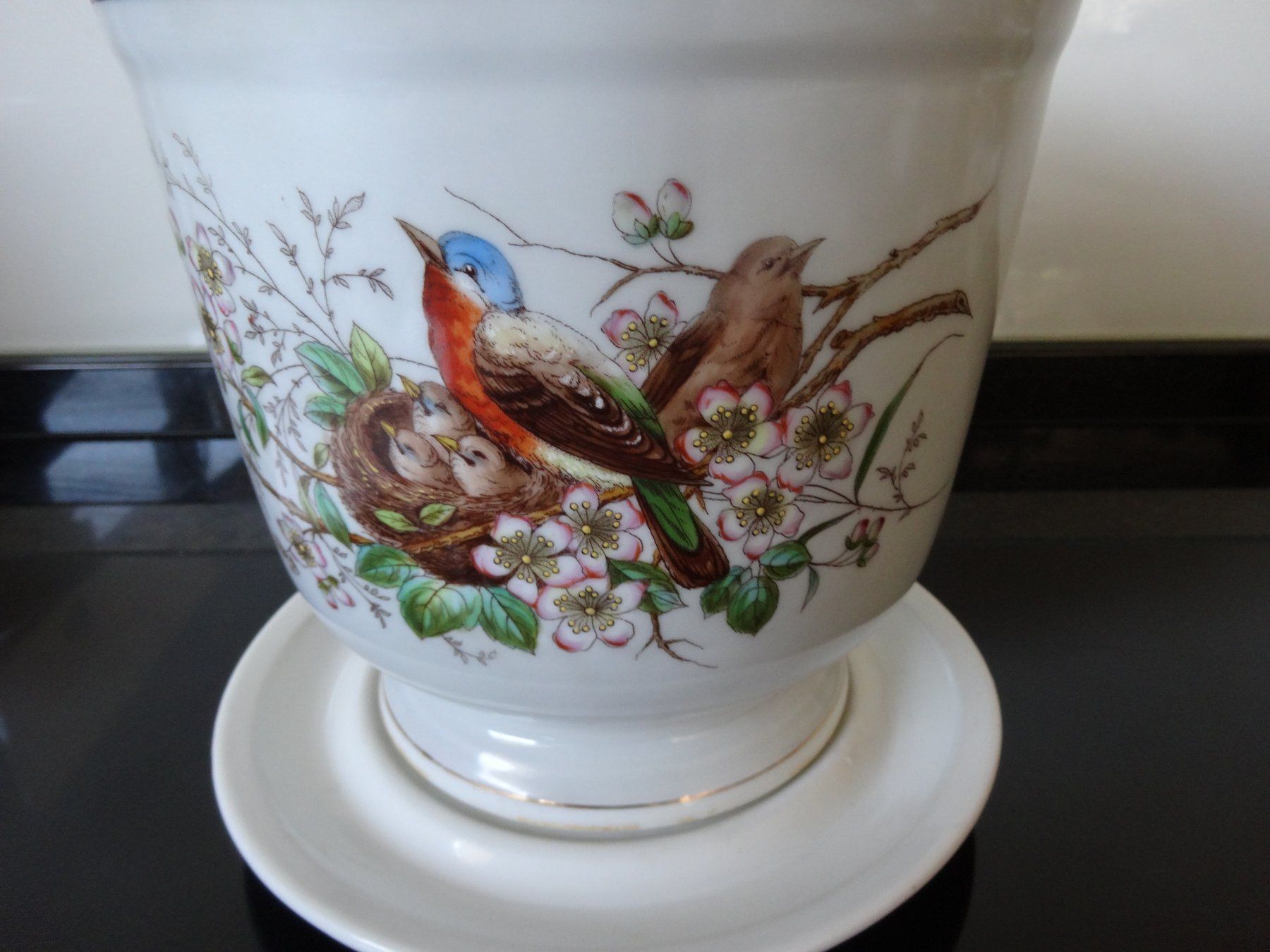 Blumentöpfe: Blumentopf mit schönem Vogelmotiv mit Unterteller – Gebraucht aus Neerach von jenny062 5