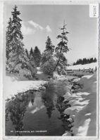 Lenzerheide am Heidbach im Winter