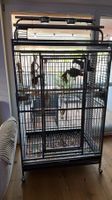 Papageienkäfig Castell Nova Play - Antik von Montana Cages