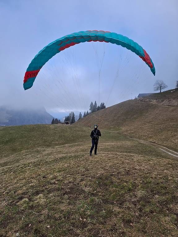 Sport dell'aria & Aquiloni: Gleitschirm/Speedflyer Flare Line 15 – Usato da Sursee venduto da rle_7ccn 2