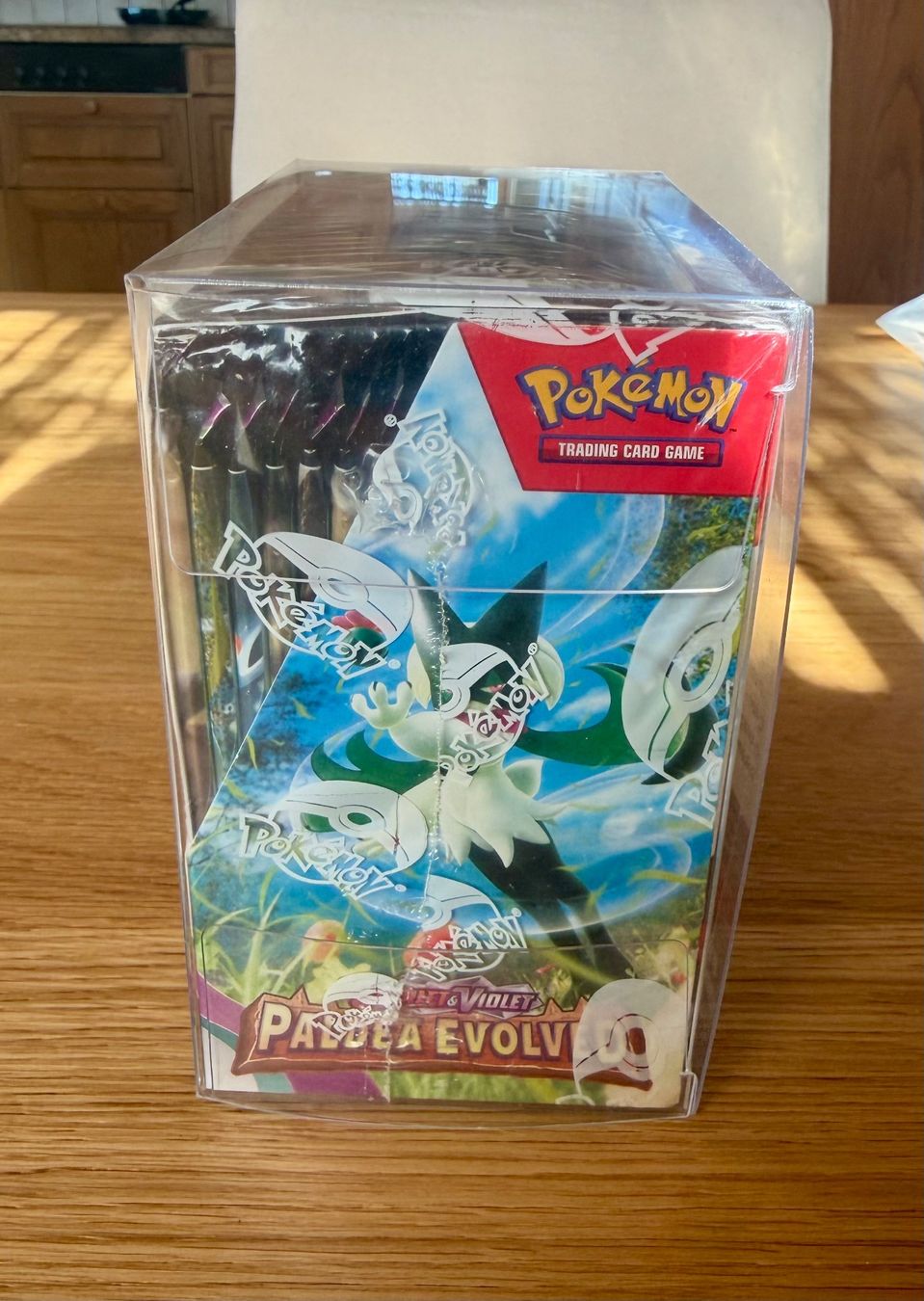 Cartoline: Paldea Evolved Display – Usato da Kleinlützel venduto da Leksi22 2