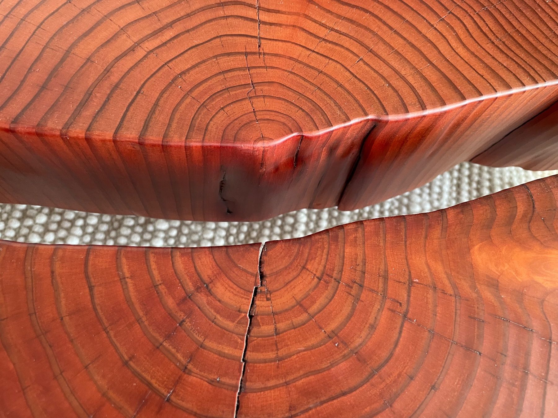 Tavoli: 130-year-old giant sequoia cookie slab lounge table – Nuovo (secondo la descrizione) da Meilen venduto da TN20 5