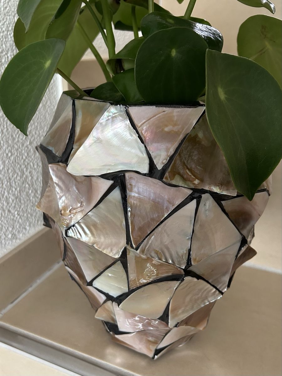 Vasi per fiori: 2 x fleur ami MUSCHEL Orchideentöpfe Perlmutt H25 – Usato da Wettingen venduto da Mmccl 3