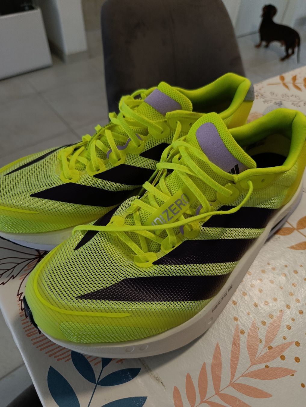 Adidas Herrenschuhe: adidas Boston 13 – Neu (gemäss Beschreibung) aus Martigny von mos_st5f