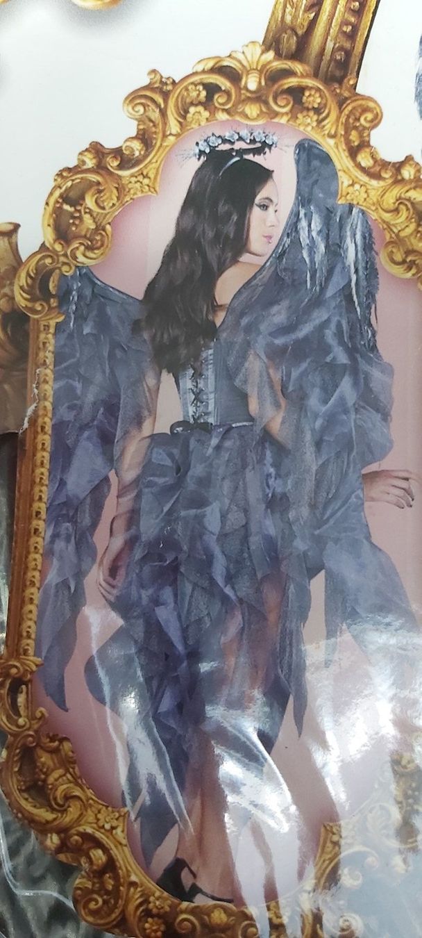 Costumi: Deluxe Angel's Kostüm – Nuovo e nell'imballaggio originale da Schwarzenbach SG venduto da mel_s6jj 4