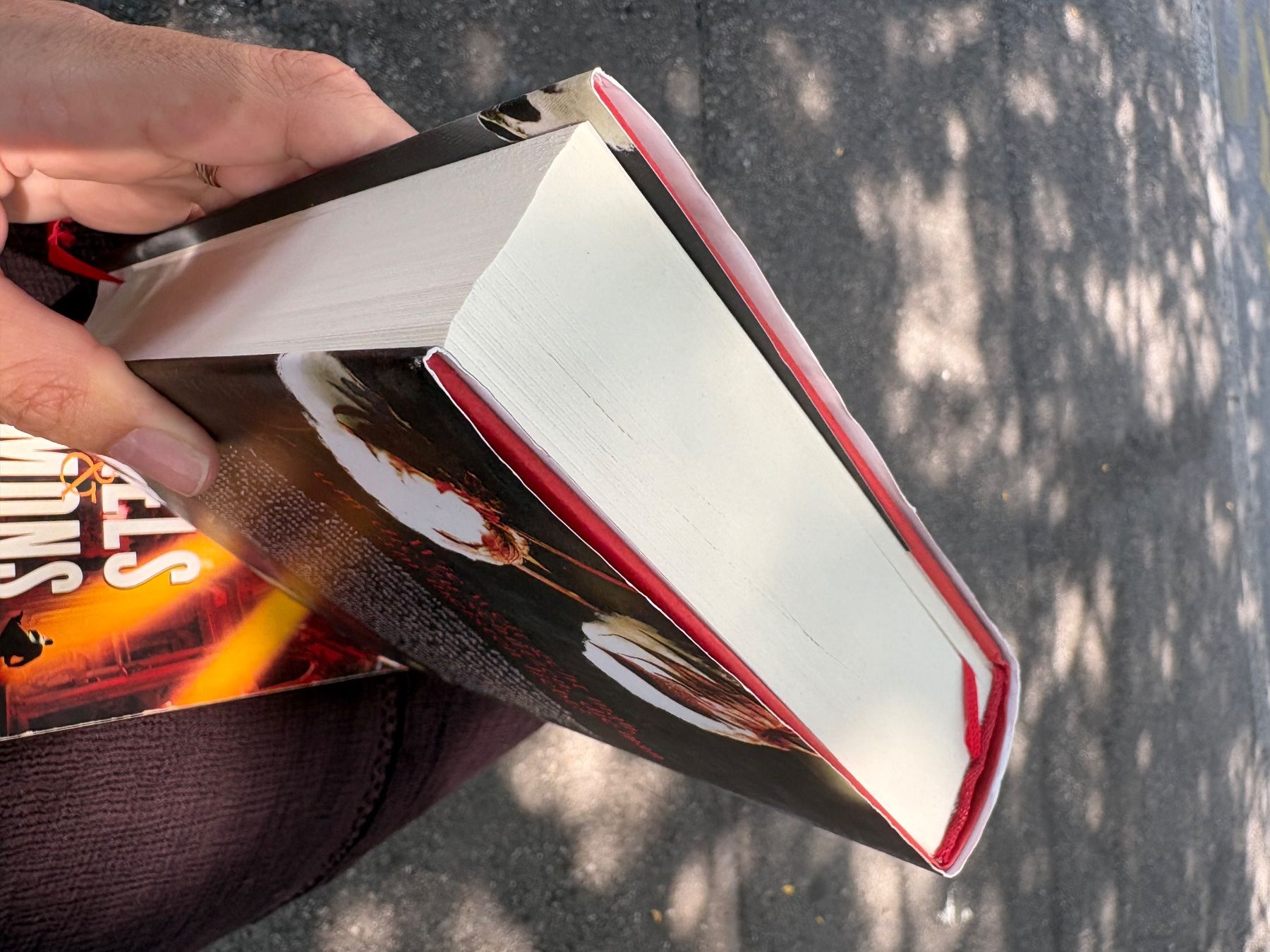 Libri: Sandra Brown Tödliche Sehnsucht Thriller – Nuovo (secondo la descrizione) da Genève venduto da sunandwind 3