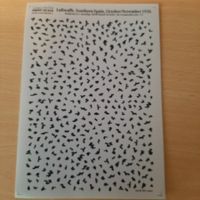 D 154 ... Tarnfarben Deutsche Luftwaffe .. Print Scale Decal