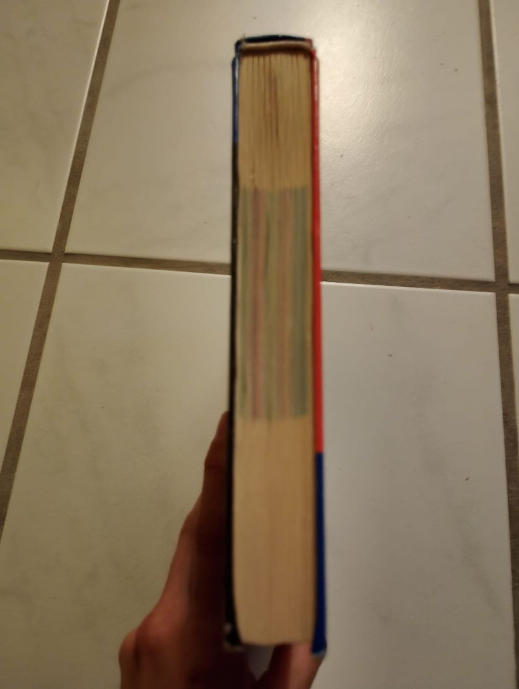 Libri: Deutsche Dichtung - Literaturgeschichte – Usato da Ehrendingen venduto da 2Guagua2 3