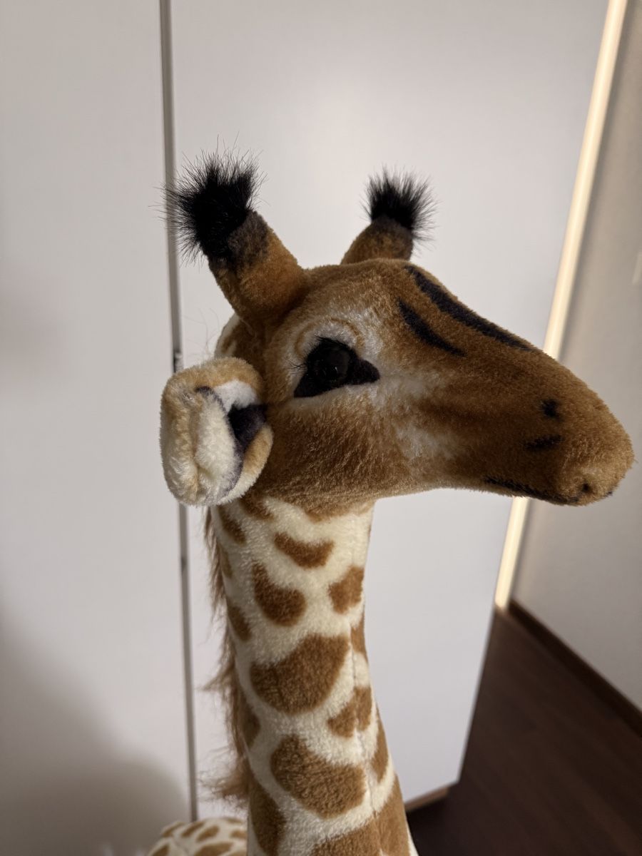 Spielzeuge: Giraffe Kinderzimmer  – Gebraucht aus Zug von mar_fy7g 4