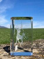 Sternzeichen Schütze  Kristallglas 3D Paperweight Hologramm