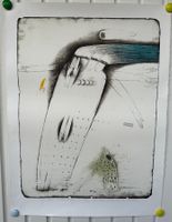 Veronika PALECKOVA (1962) | Lithographie