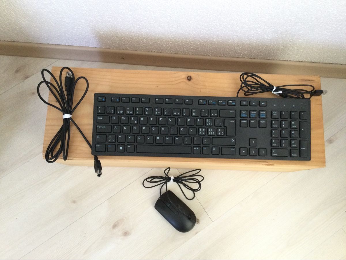 Dell Monitor: Dell P2213t – Usato da Winterthur venduto da Raffi41 2