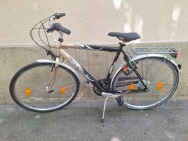 Bottecchia  Herren Citybike