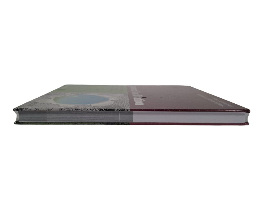 Libri: BELTZ Dynamic Facilitation – Nuovo e nell'imballaggio originale da Wil SG venduto da Restwert_Wil 3