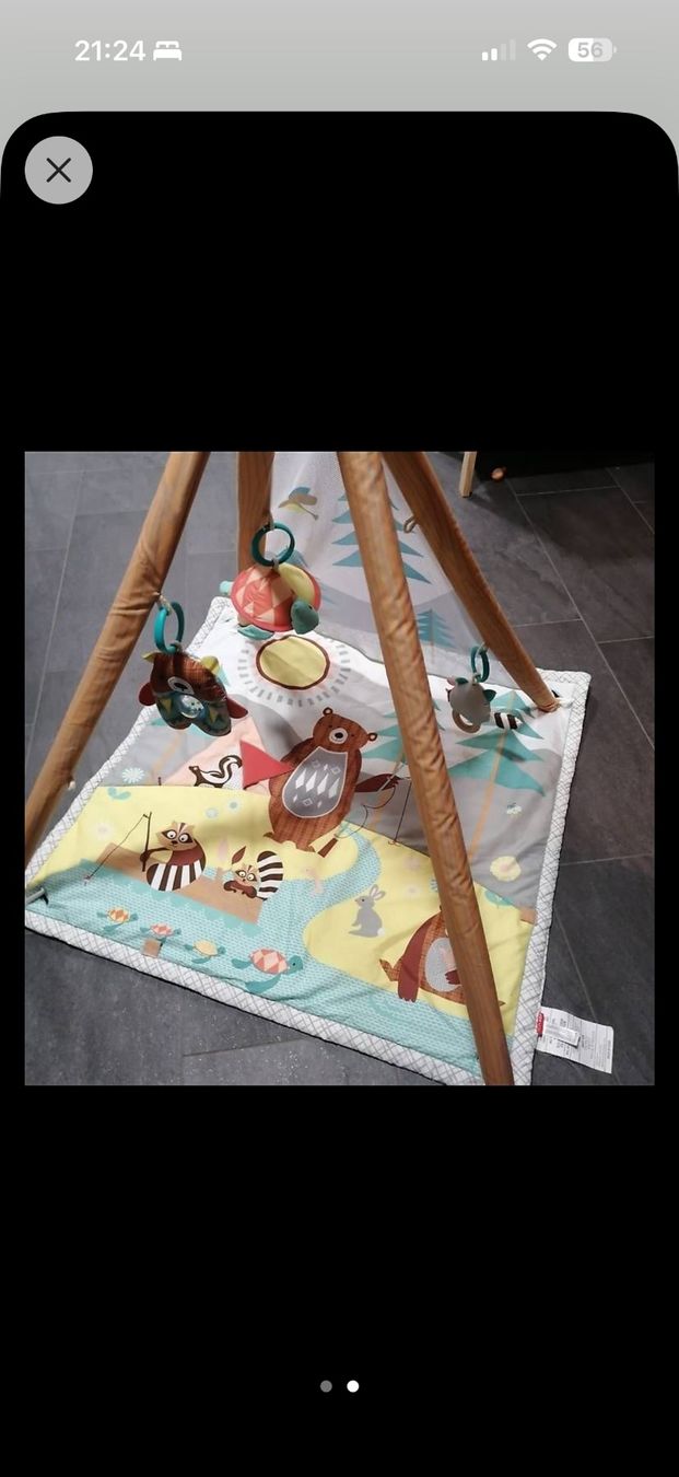 Tappeto da gioco: SKIP HOP Activity Gym Camping – Usato da Lauerz venduto da ant_5h95