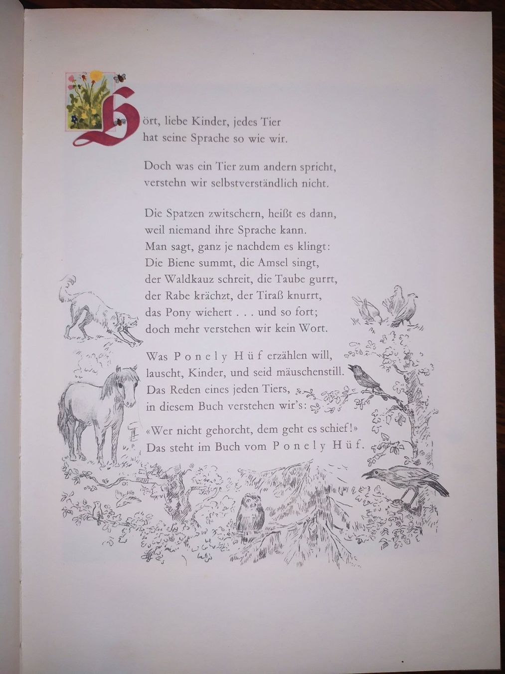 Libri: DIE GESCHICHTE VOM PONELI HÜF – Usato da Aarau venduto da Unikumlis_ArtBrut 4