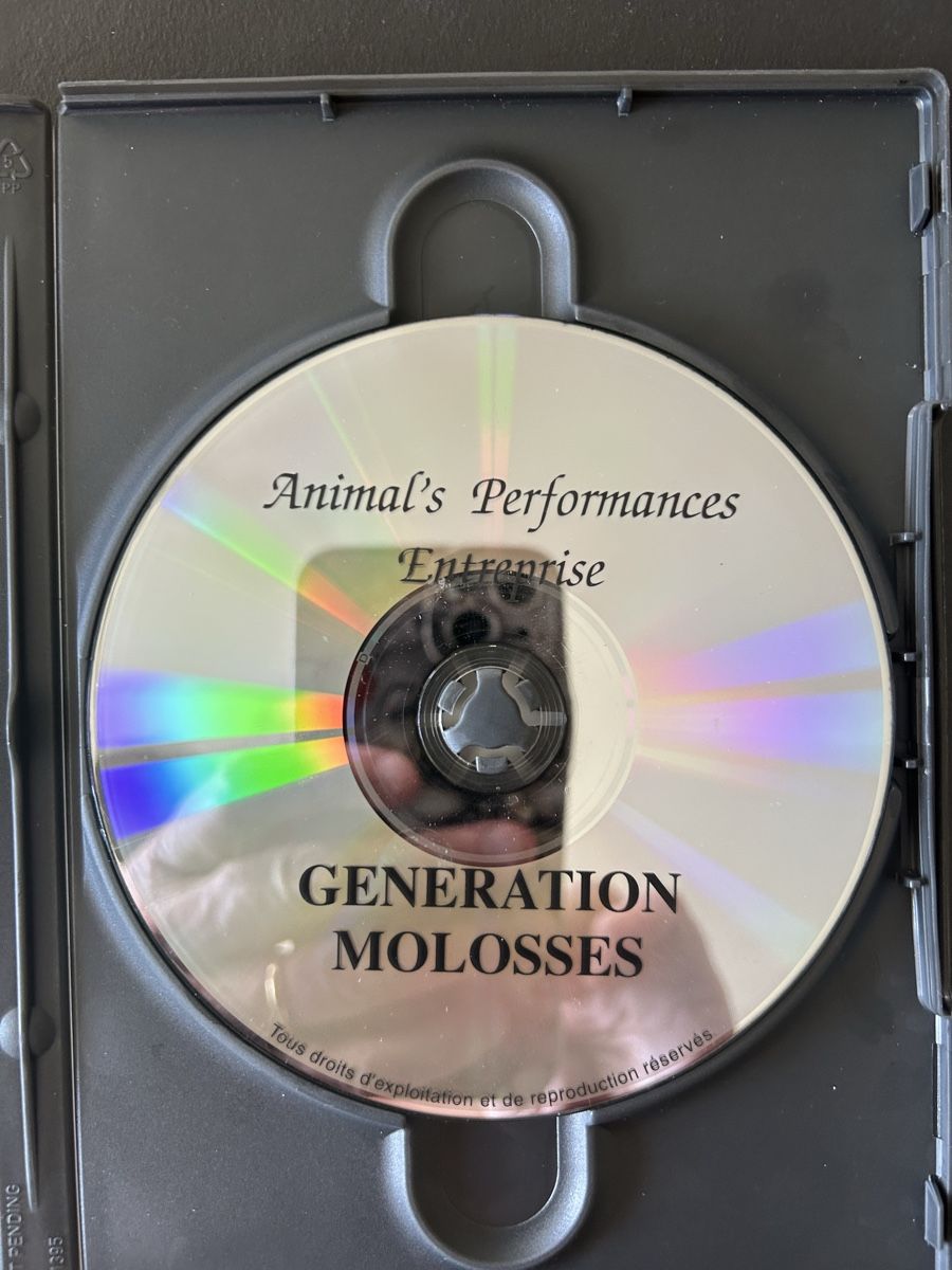 Tutti i DVDs: DVD Génération Molosses Dogue Argentin Cane Corso 50 min – Usato da St-Cierges venduto da Crisi53 2