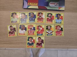 Panini FIFA World Cup stickers set, United Edition