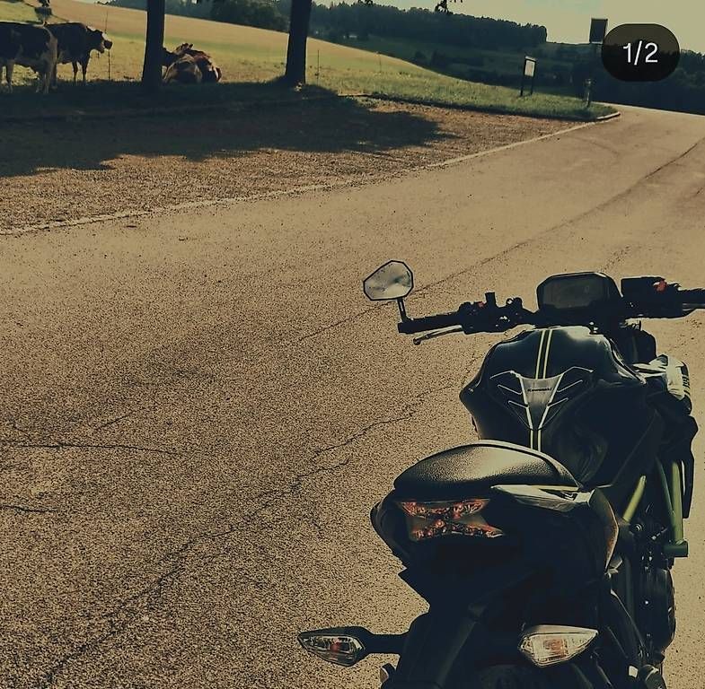 Strada: KAWASAKI Z650  – Usato da Neuenegg venduto da dim_2zp9 2