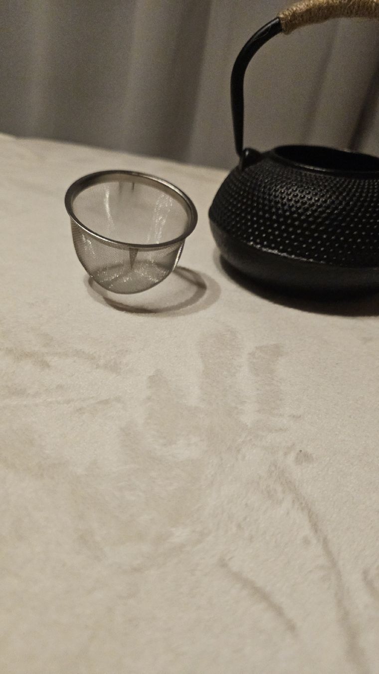 Teiere: Théière en fonte avec infuseur intégré – Usato da Sornetan venduto da T.a333 2