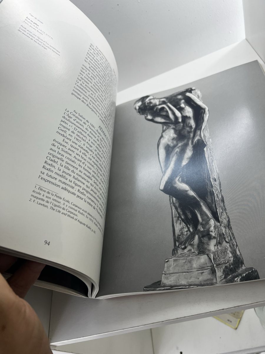 Bücher: Rodin La passion mouvement – Gebraucht aus Wettingen von NickInc 3