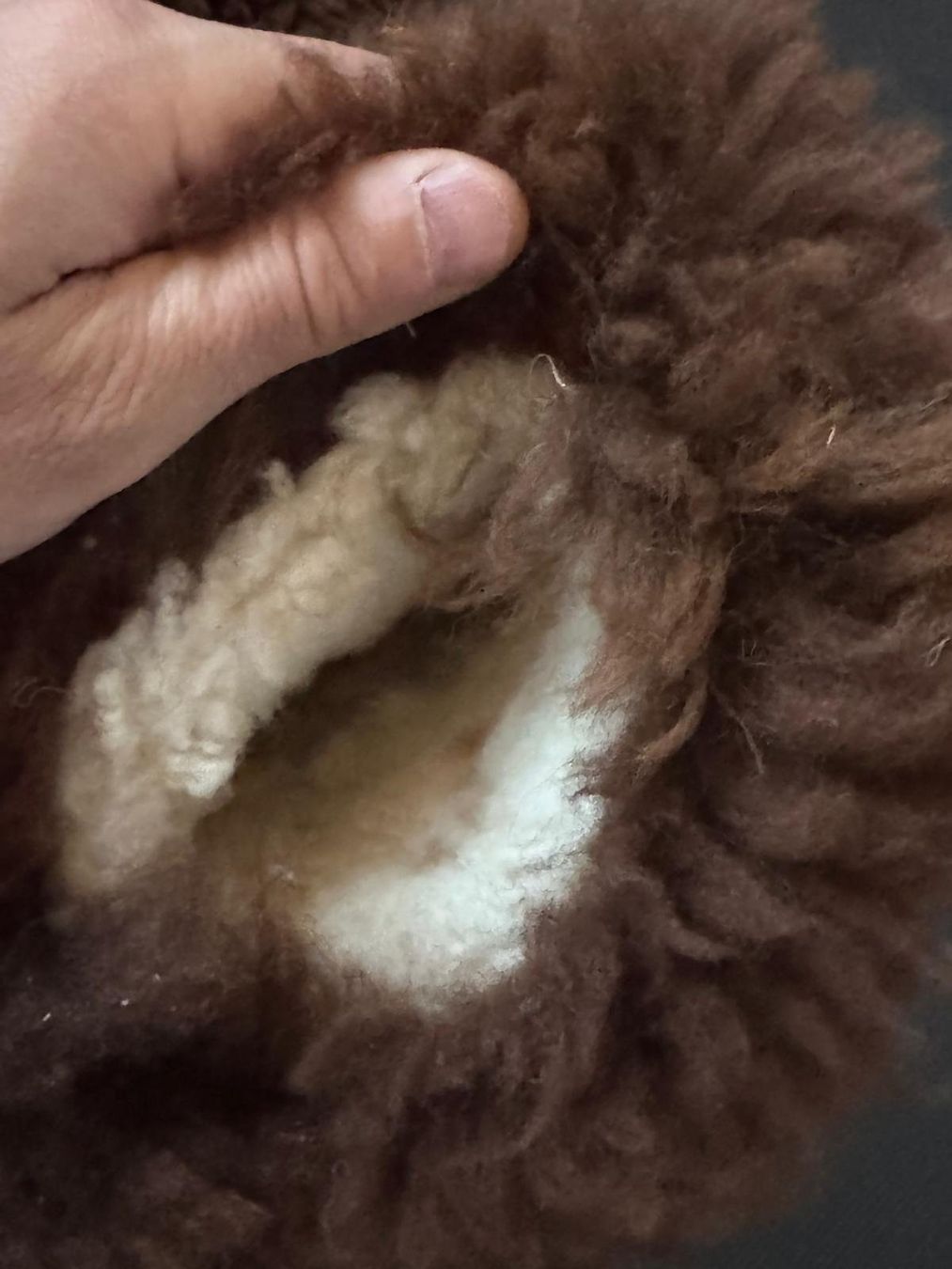 Guanti & manicotti: Alpaka hand made gloves in Peru – Usato da Täsch venduto da elgordo 2
