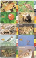 10 Telefonkarten Uruguay Tiere