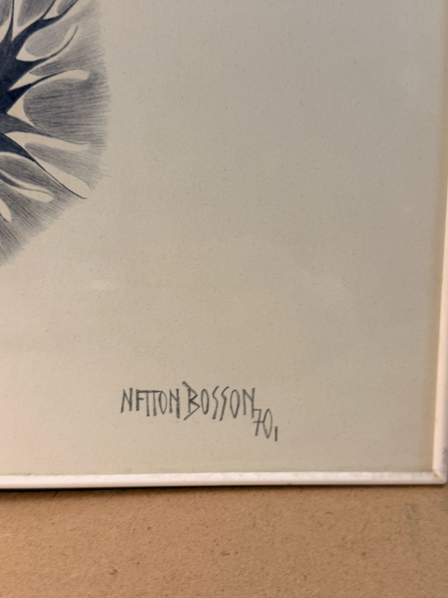 Grafica & Litografie: Netton Bosson 70’ – Usato da Solothurn venduto da NUVICO 2