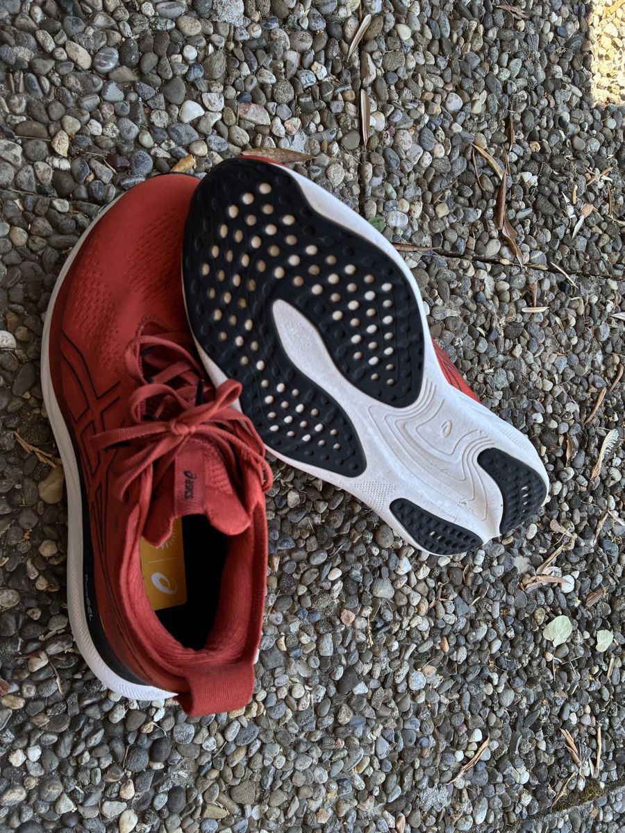 Asics Herrenschuhe: ASICS Gel Nimbus 25 – Gebraucht aus Gerlafingen von karmate 2