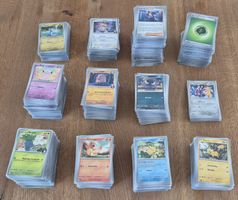Pokémon Sammelkarten Konvolut – Erhabene Helden (DE)