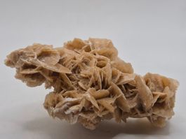 🏜️ Sandrose – ca. 141g – Tunesien (ungereinigt)