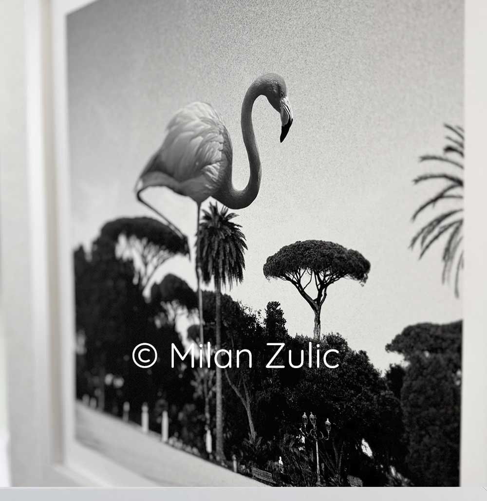 Foto & Immagini: Travel postcards 011 – Nuovo (secondo la descrizione) da Uetikon am See venduto da mil_7k2b 1