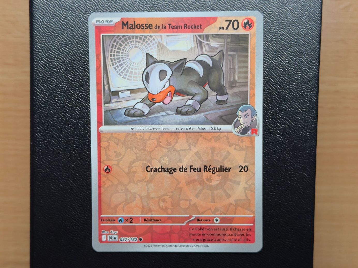 Pokémon Carte collezionabili: Malosse REVERSE (037/182) - RIVALITÉS DESTINÉES - DRI FR – Usato da Chézard-St-Martin venduto da Kro_Cards